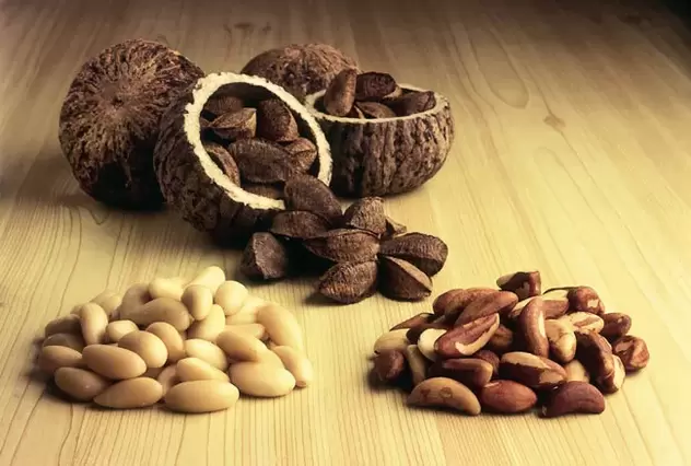 Brazil Nut Benefits