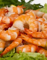 shrimp